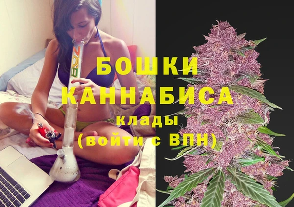 стаф Михайлов